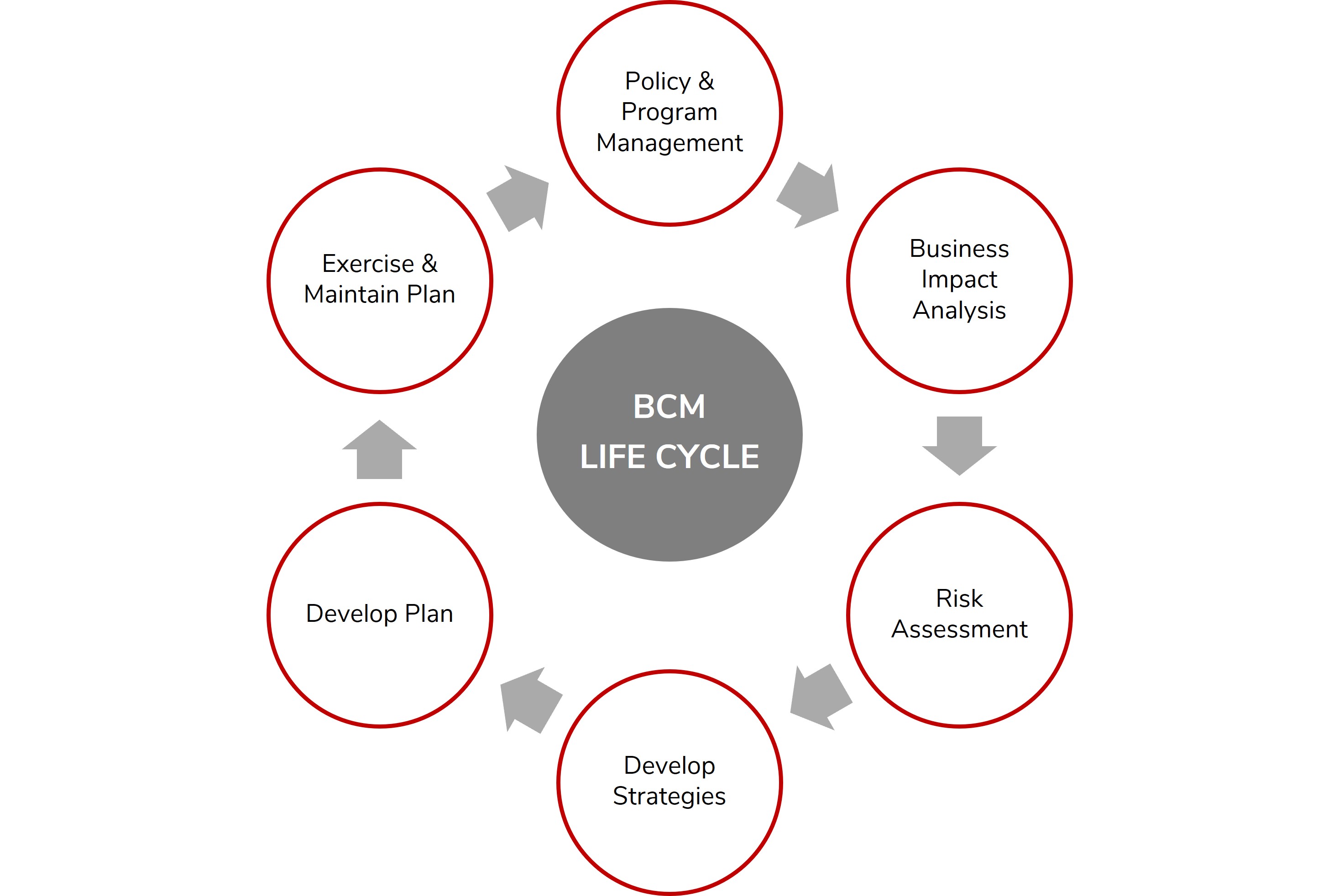 Graphic of the BCM Life Cycle