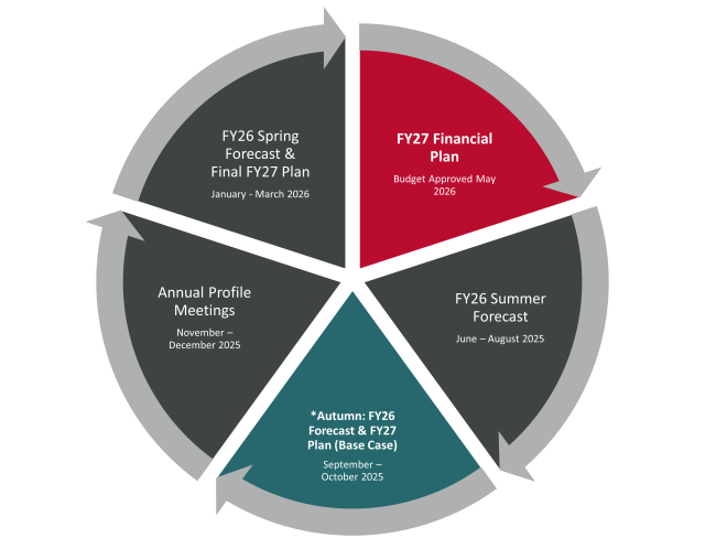 Adaptive Planning Graphic - pie chart